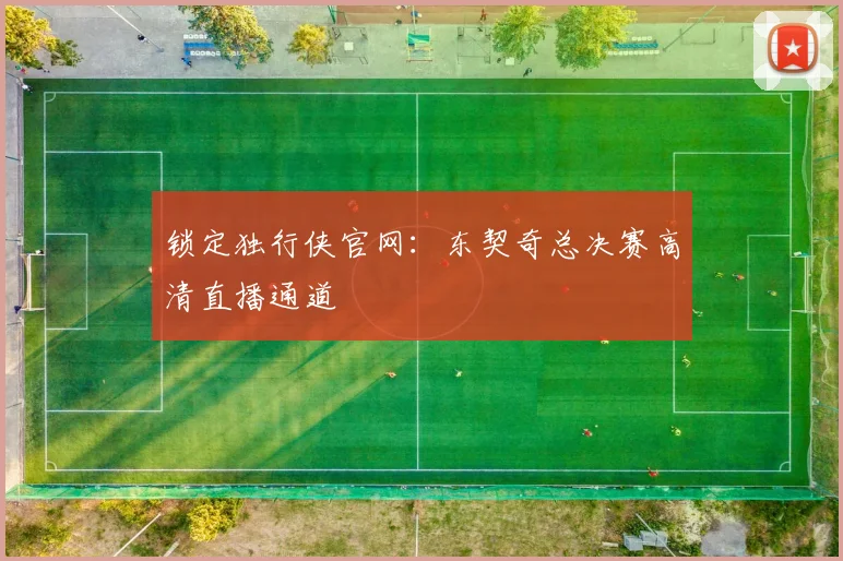 锁定独行侠官网：东契奇总决赛高清直播通道