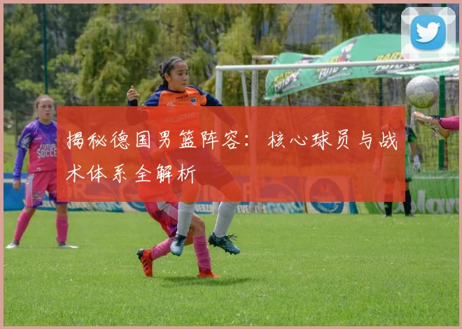揭秘德国男篮阵容:核心球员与战术体系全解析