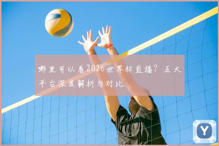哪里可以看2026世界杯直播？五大平台深度解析与对比