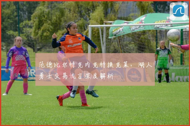 范德比尔特克内克特换克莱，湖人勇士交易流言深度解析